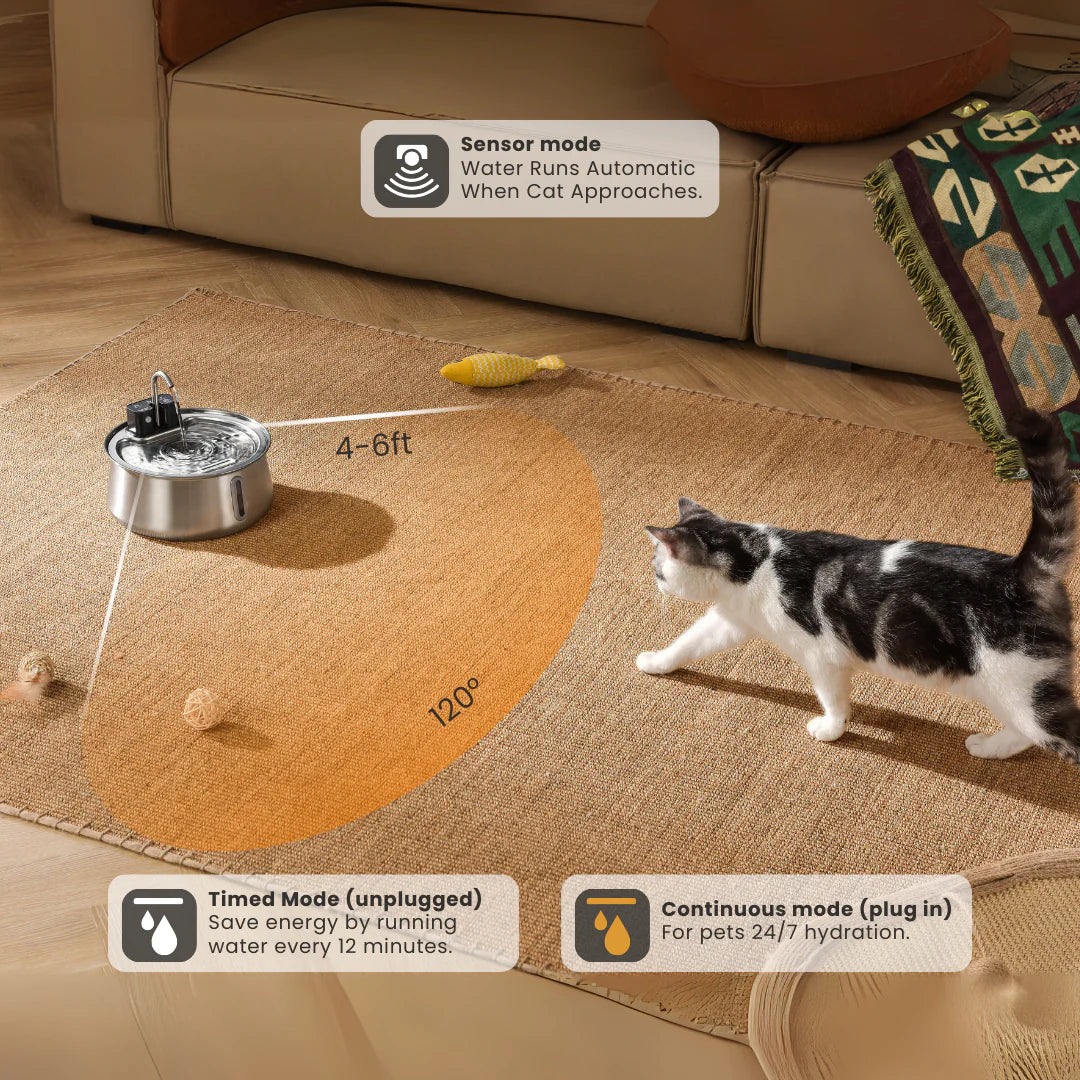 Protect Your Cat From Dehydration And Urinary Emergencies With Nalu